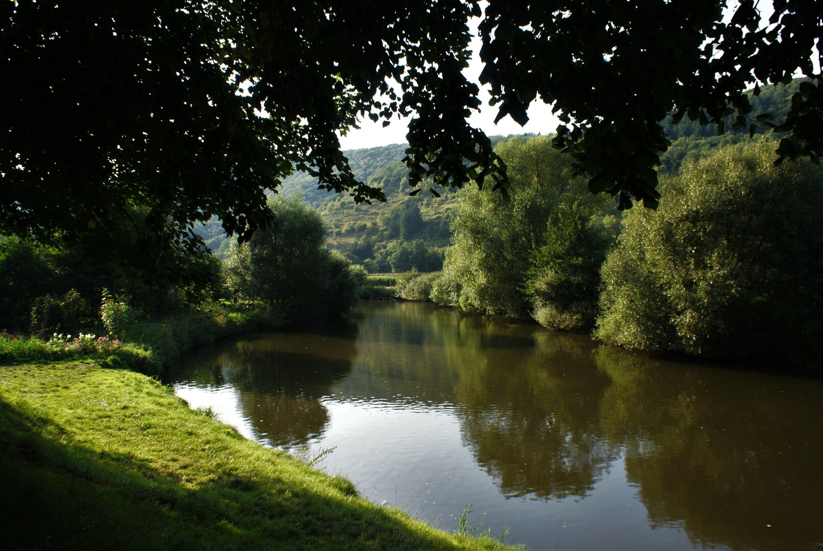 ASV Rehborn